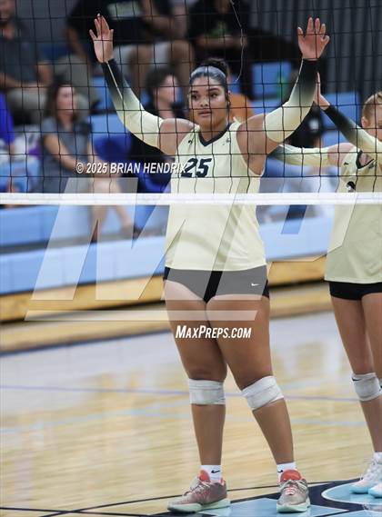 Thumbnail 3 in Draughn @ Foard photogallery.