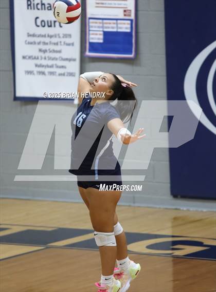 Thumbnail 3 in Draughn @ Foard photogallery.