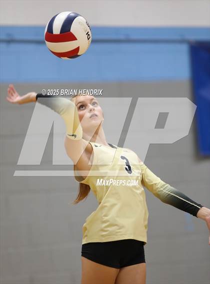 Thumbnail 3 in Draughn @ Foard photogallery.