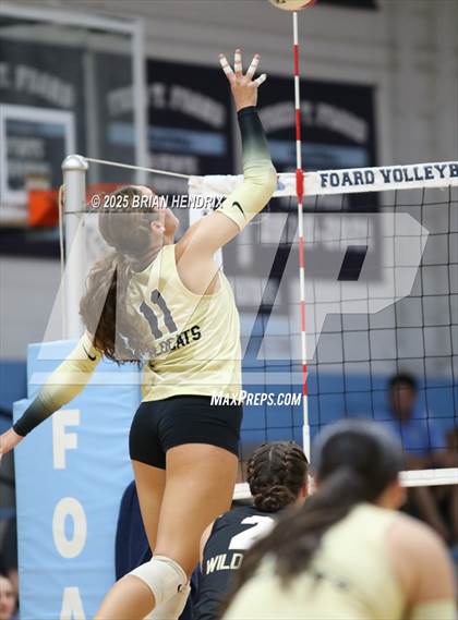 Thumbnail 3 in Draughn @ Foard photogallery.