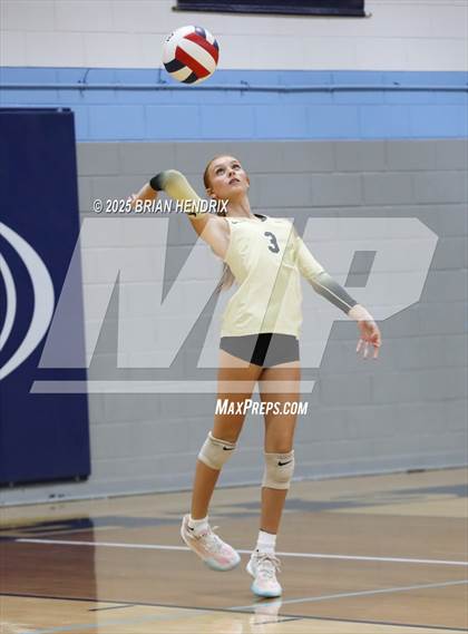 Thumbnail 2 in Draughn @ Foard photogallery.