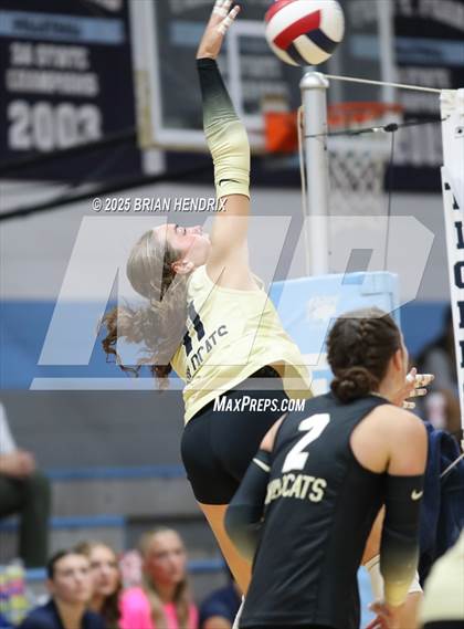 Thumbnail 1 in Draughn @ Foard photogallery.