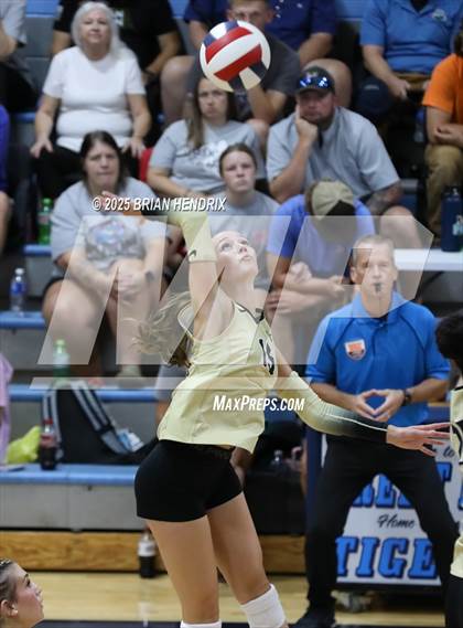 Thumbnail 2 in Draughn @ Foard photogallery.