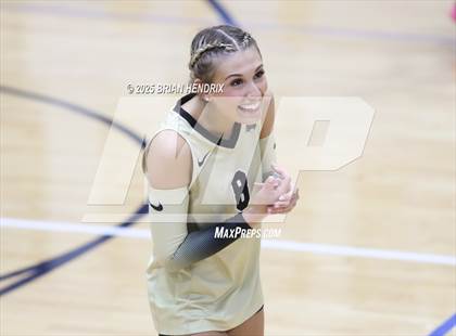 Thumbnail 1 in Draughn @ Foard photogallery.