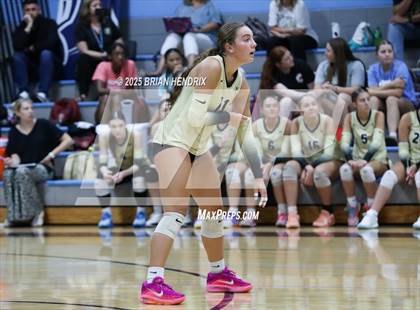 Thumbnail 1 in Draughn @ Foard photogallery.