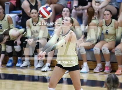 Thumbnail 3 in Draughn @ Foard photogallery.