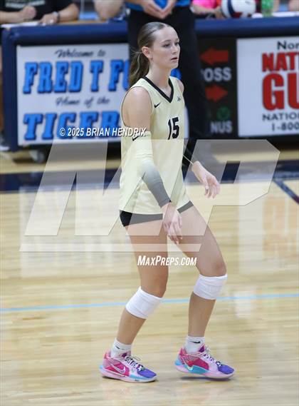 Thumbnail 1 in Draughn @ Foard photogallery.