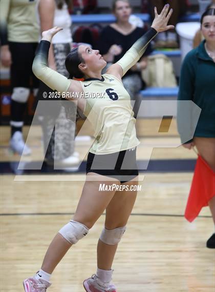 Thumbnail 1 in Draughn @ Foard photogallery.