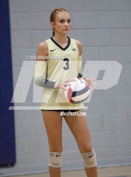 Thumbnail 2 in Draughn @ Foard photogallery.