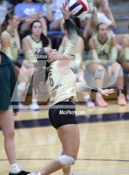 Thumbnail 1 in Draughn @ Foard photogallery.