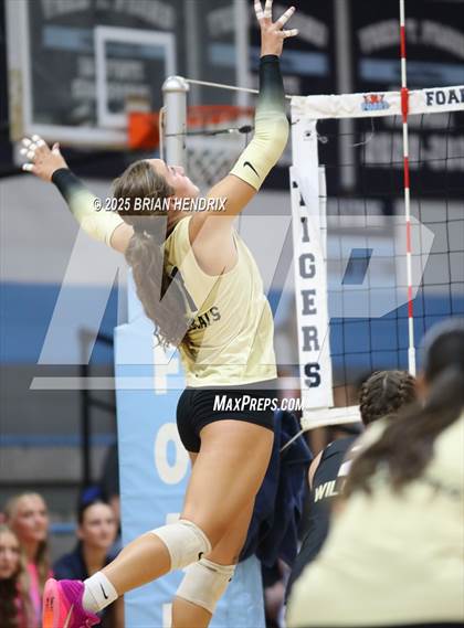 Thumbnail 2 in Draughn @ Foard photogallery.