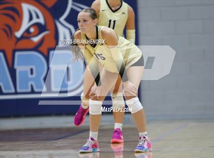 Thumbnail 1 in Draughn @ Foard photogallery.