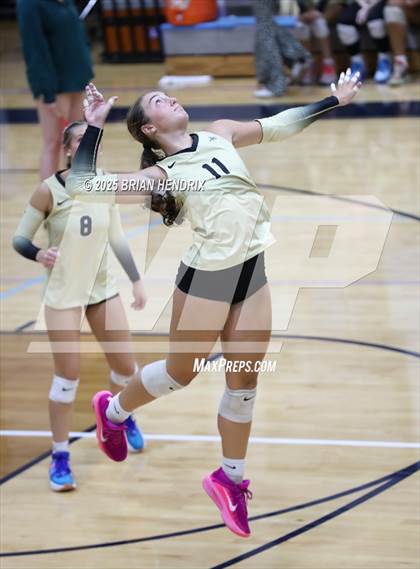 Thumbnail 3 in Draughn @ Foard photogallery.