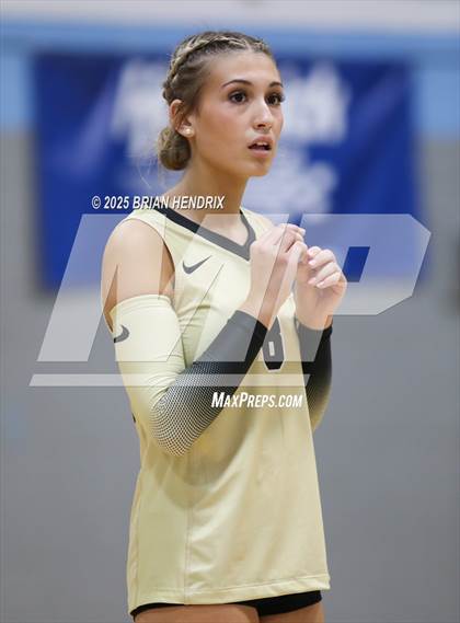 Thumbnail 1 in Draughn @ Foard photogallery.