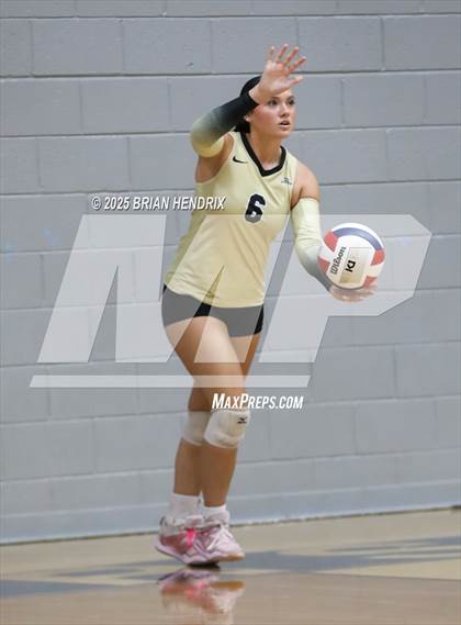 Thumbnail 1 in Draughn @ Foard photogallery.