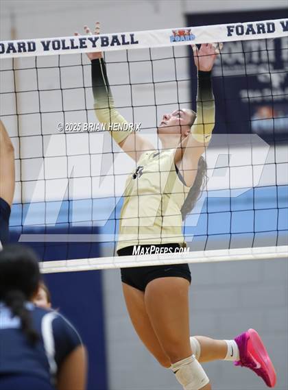 Thumbnail 2 in Draughn @ Foard photogallery.