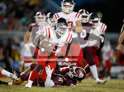 Thumbnail 2 in Palmetto @ Braden River photogallery.