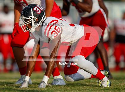 Thumbnail 2 in Palmetto @ Braden River photogallery.