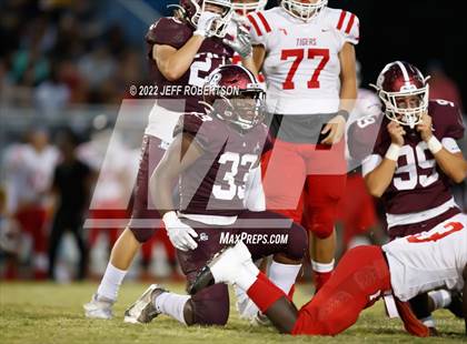 Thumbnail 2 in Palmetto @ Braden River photogallery.