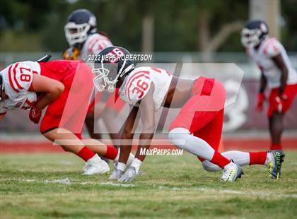 Thumbnail 3 in Palmetto @ Braden River photogallery.