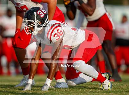Thumbnail 3 in Palmetto @ Braden River photogallery.