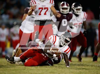 Thumbnail 2 in Palmetto @ Braden River photogallery.