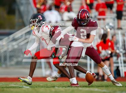 Thumbnail 3 in Palmetto @ Braden River photogallery.