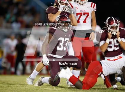 Thumbnail 3 in Palmetto @ Braden River photogallery.