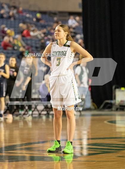 Thumbnail 3 in Bellarmine Prep vs. Kentridge (WIAA 4A 3rd/5th Place) photogallery.