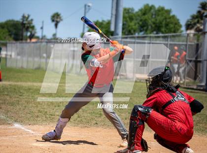 Thumbnail 1 in Harlingen South @ Harlingen (Birdbowl) photogallery.