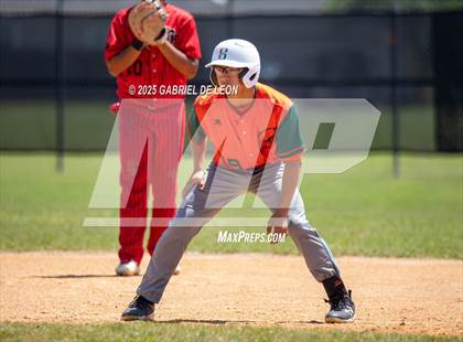Thumbnail 2 in Harlingen South @ Harlingen (Birdbowl) photogallery.