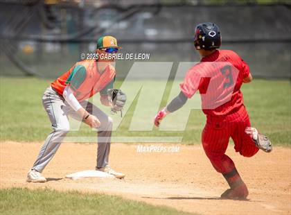 Thumbnail 3 in Harlingen South @ Harlingen (Birdbowl) photogallery.