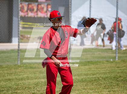 Thumbnail 2 in Harlingen South @ Harlingen (Birdbowl) photogallery.