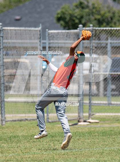 Thumbnail 3 in Harlingen South @ Harlingen (Birdbowl) photogallery.