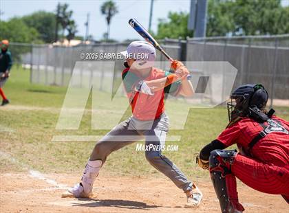 Thumbnail 2 in Harlingen South @ Harlingen (Birdbowl) photogallery.