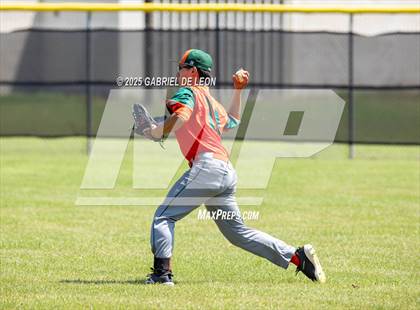 Thumbnail 3 in Harlingen South @ Harlingen (Birdbowl) photogallery.