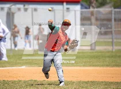 Thumbnail 3 in Harlingen South @ Harlingen (Birdbowl) photogallery.