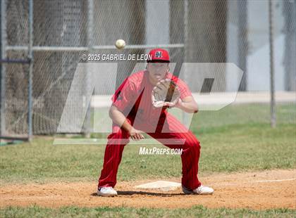 Thumbnail 2 in Harlingen South @ Harlingen (Birdbowl) photogallery.
