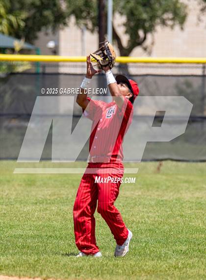 Thumbnail 3 in Harlingen South @ Harlingen (Birdbowl) photogallery.
