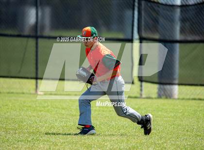 Thumbnail 3 in Harlingen South @ Harlingen (Birdbowl) photogallery.