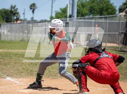 Thumbnail 2 in Harlingen South @ Harlingen (Birdbowl) photogallery.