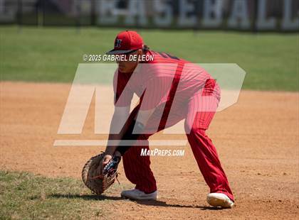 Thumbnail 2 in Harlingen South @ Harlingen (Birdbowl) photogallery.
