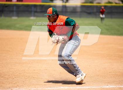 Thumbnail 3 in Harlingen South @ Harlingen (Birdbowl) photogallery.