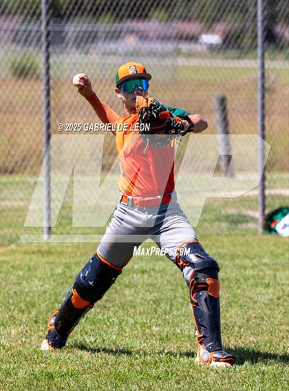 Thumbnail 2 in Harlingen South @ Harlingen (Birdbowl) photogallery.