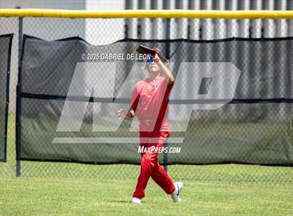 Thumbnail 3 in Harlingen South @ Harlingen (Birdbowl) photogallery.