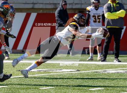 Thumbnail 1 in Roy vs. Skyridge (UHSAA 5A Semifinal) photogallery.
