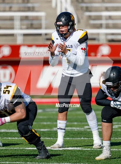 Thumbnail 2 in Roy vs. Skyridge (UHSAA 5A Semifinal) photogallery.