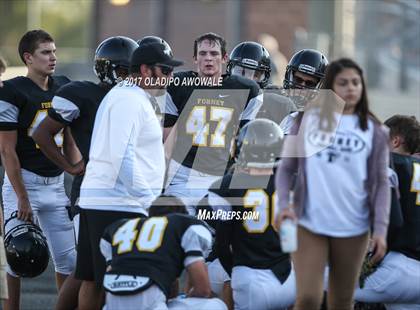 Thumbnail 2 in Poteet [Dr. Ralph H.] @ Forney photogallery.