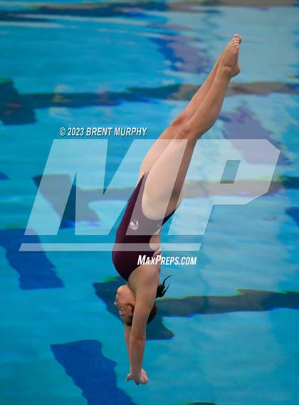 Thumbnail 2 in Legacy Invite (Diving) photogallery.