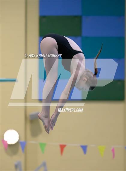 Thumbnail 2 in Legacy Invite (Diving) photogallery.